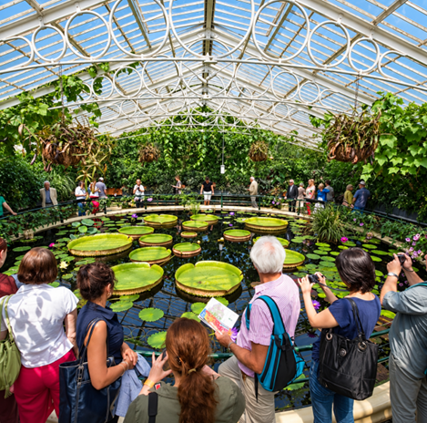 MP Foundation Brings the Community Together at Kew Gardens